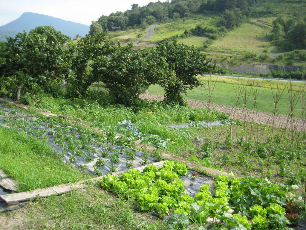 戈拉比拉乡村民宿 Llanteno 外观 照片